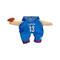 Best Furry Friends Basketball Player Pet Costume